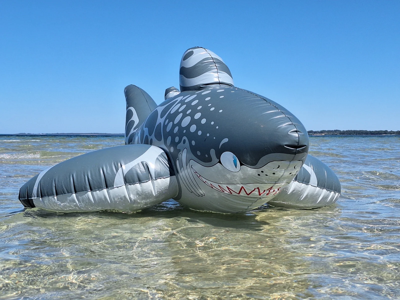 Triakis - Inflatable Leopard Shark by Buteo - Image 4