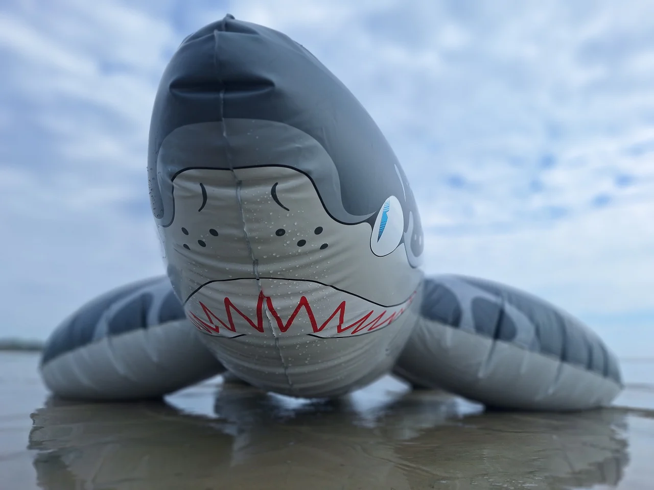 Triakis - Inflatable Leopard Shark by Buteo - Image 5