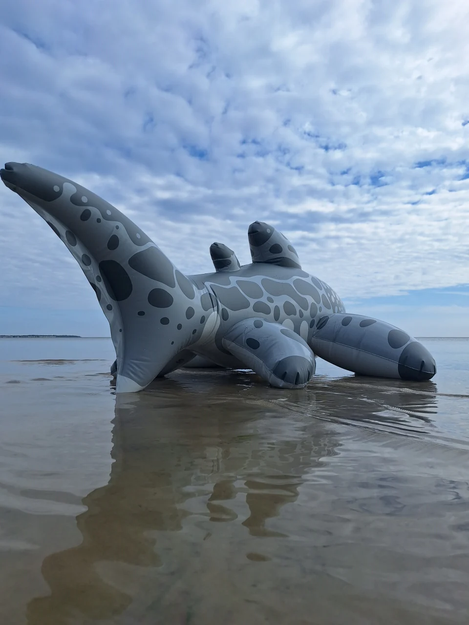 Triakis - Inflatable Leopard Shark by Buteo - Image 6