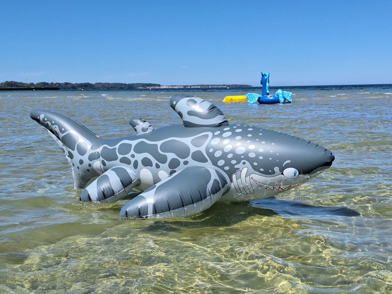 Triakis - Inflatable Leopard Shark by Buteo - Image 7